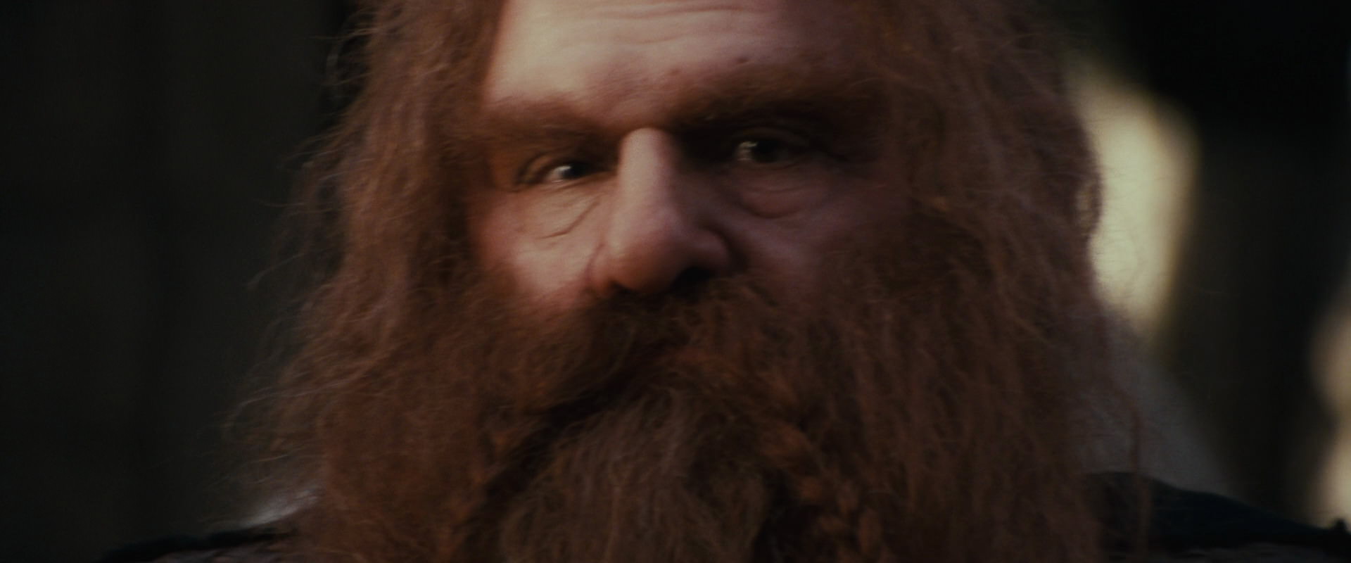 The Lord of the Rings: The Fellowship of the Ring (2001) movie still 10696