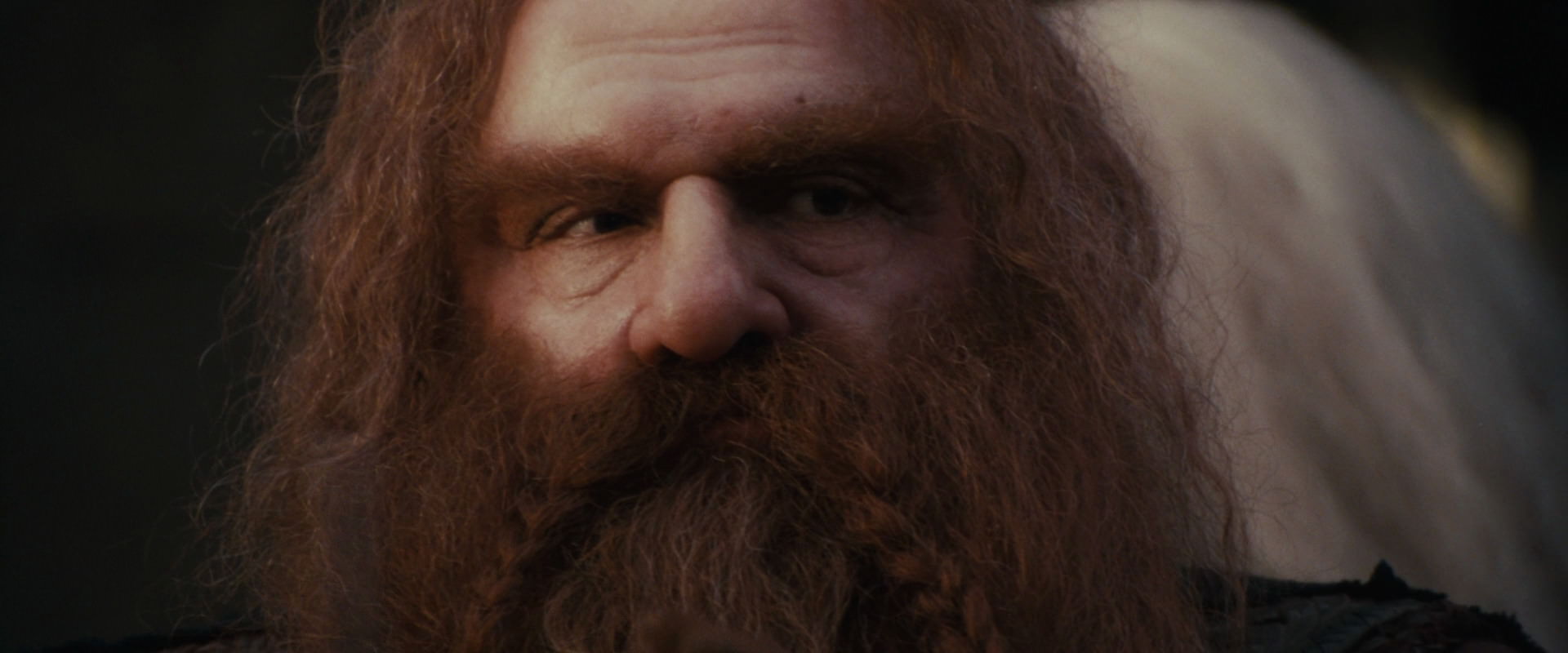 The Lord of the Rings: The Fellowship of the Ring (2001) HD screenshot 10697