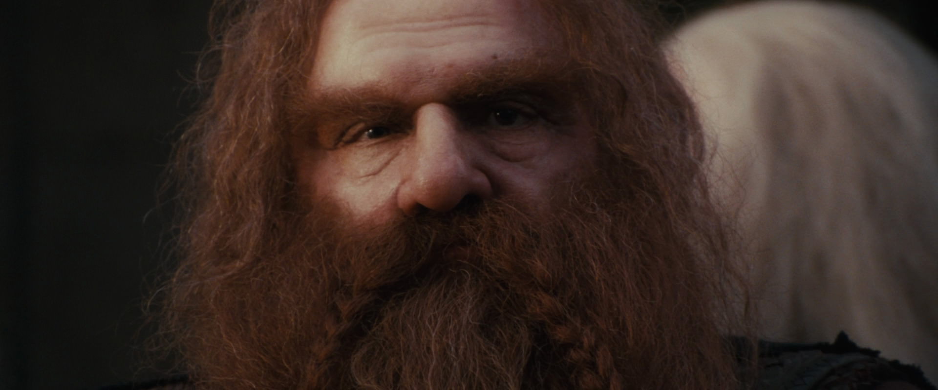 The Lord of the Rings: The Fellowship of the Ring (2001) screencap 10698