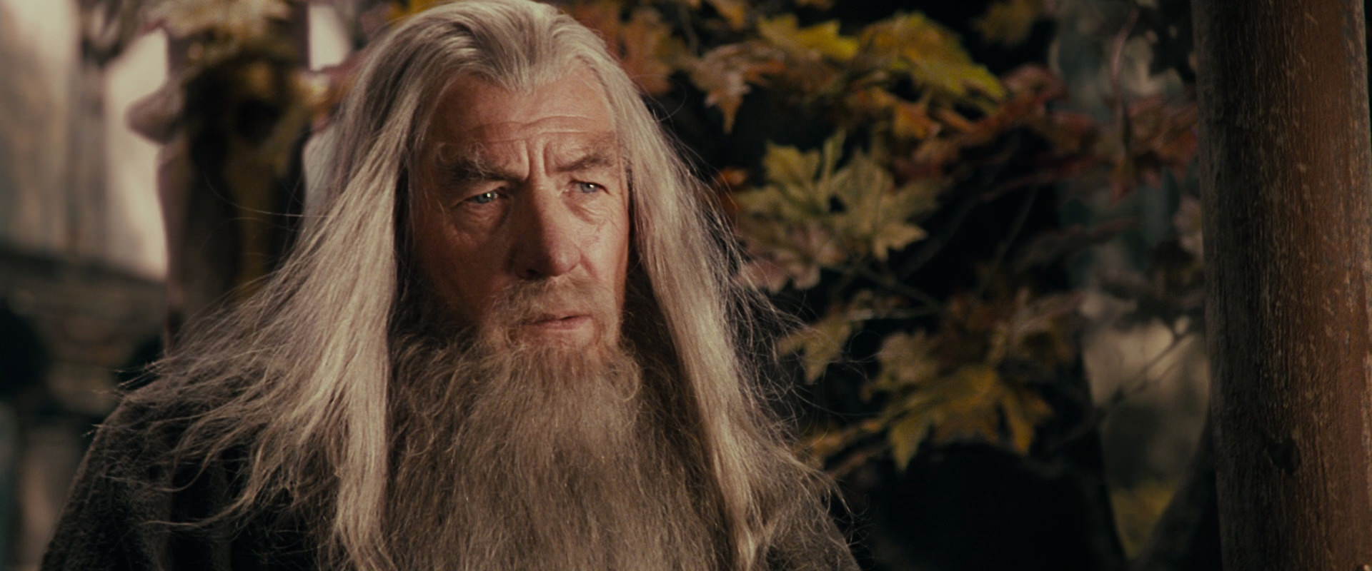 The Lord of the Rings: The Fellowship of the Ring (2001) movie still 10699