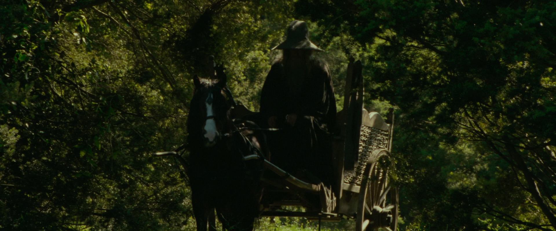 The Lord of the Rings: The Fellowship of the Ring (2001) HD screenshot 1070