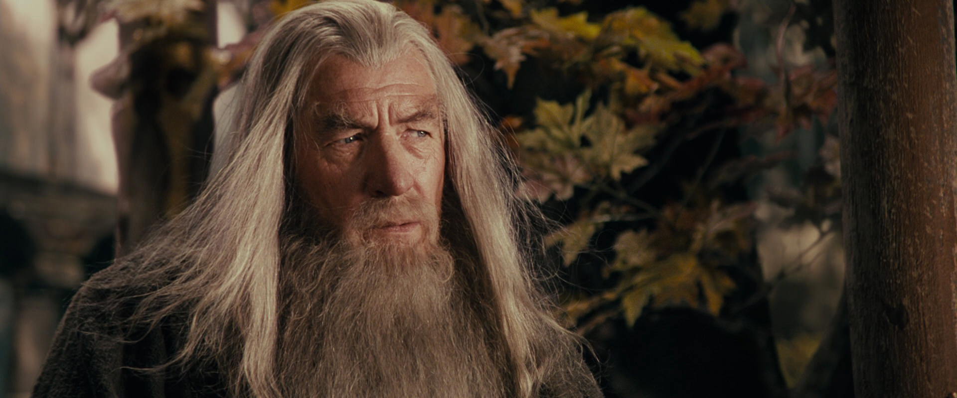 The Lord of the Rings: The Fellowship of the Ring (2001) HD screenshot 10700