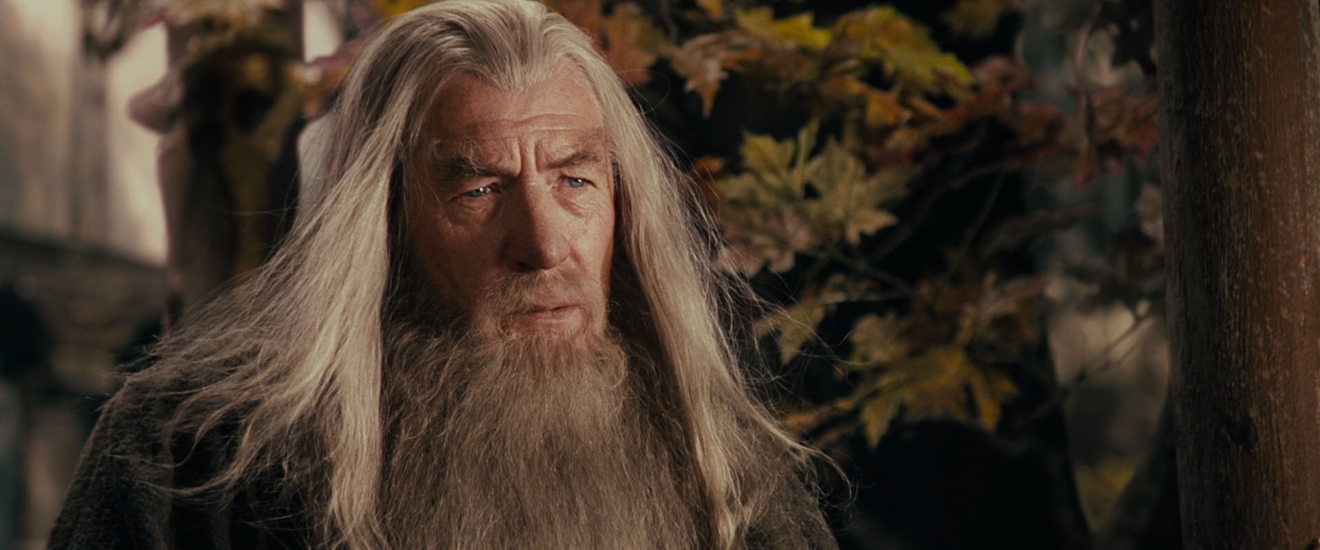 The Lord of the Rings: The Fellowship of the Ring (2001) screencap 10701