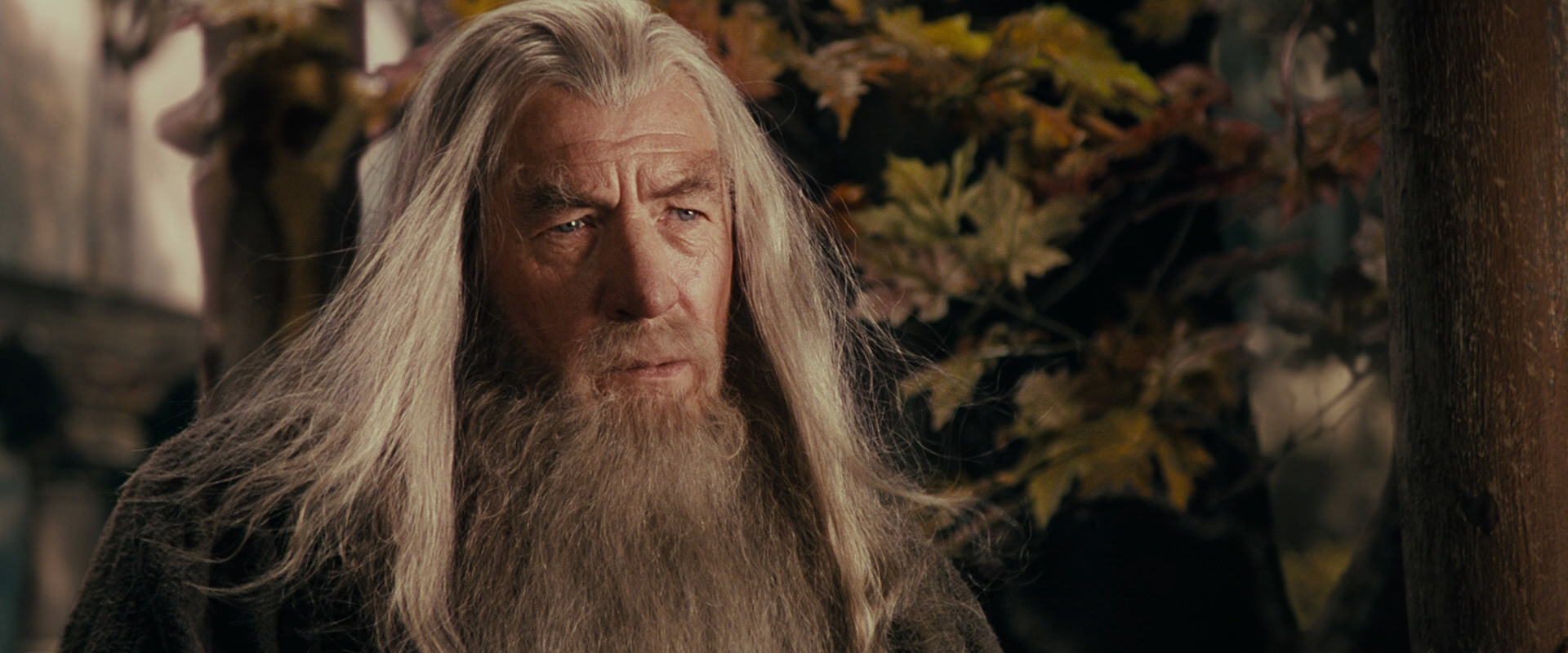 The Lord of the Rings: The Fellowship of the Ring (2001) movie still 10702