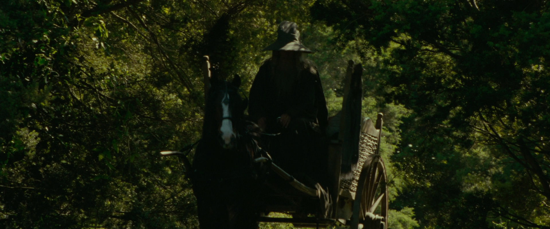 The Lord of the Rings: The Fellowship of the Ring (2001) screencap 1071
