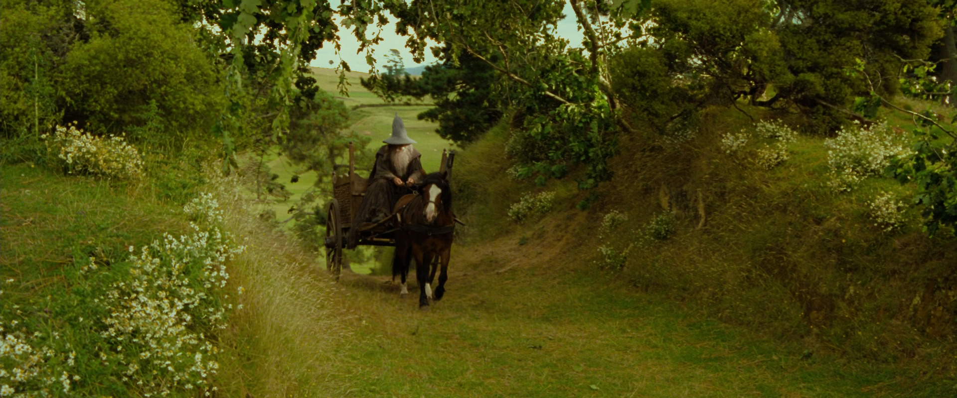 The Lord of the Rings: The Fellowship of the Ring (2001) screencap 1077
