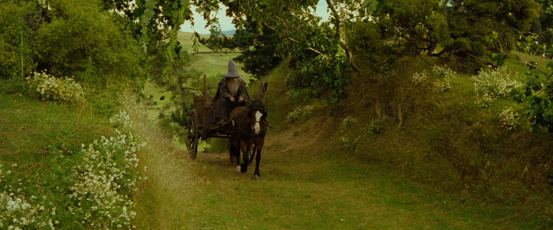 The Lord of the Rings: The Fellowship of the Ring (2001) movie still 1078