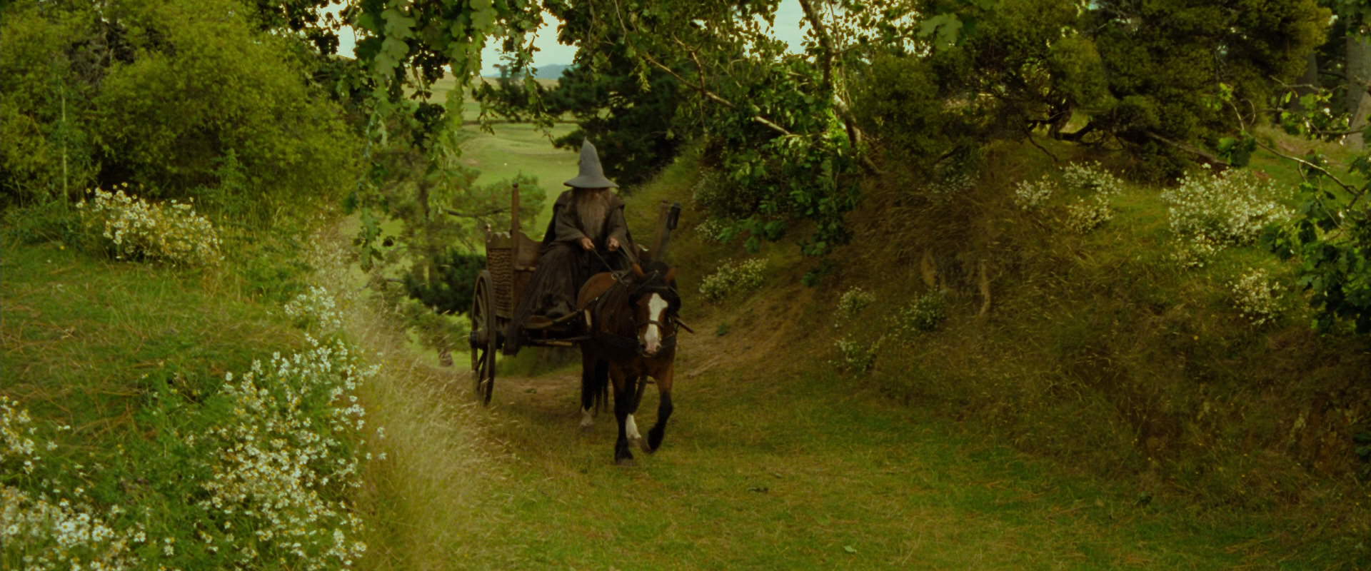 The Lord of the Rings: The Fellowship of the Ring (2001) HD screenshot 1079