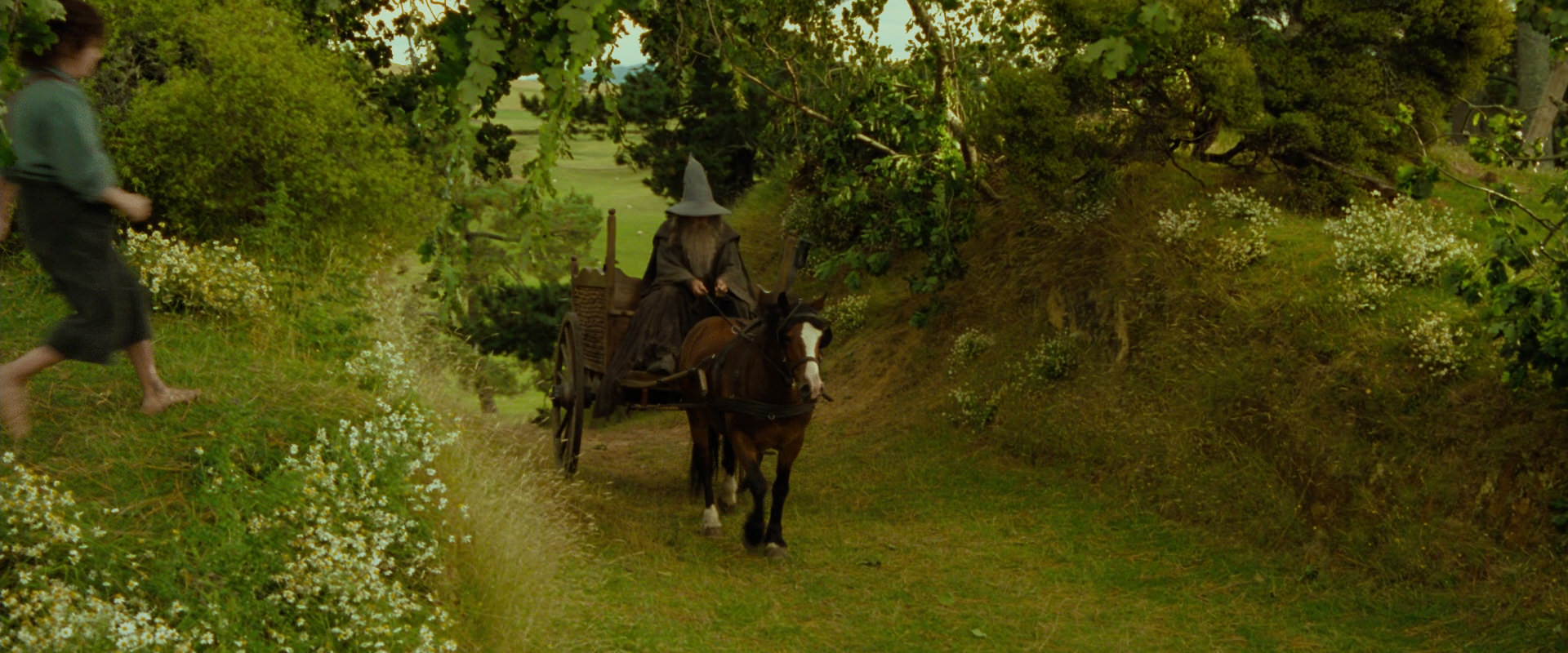 The Lord of the Rings: The Fellowship of the Ring (2001) screencap 1080