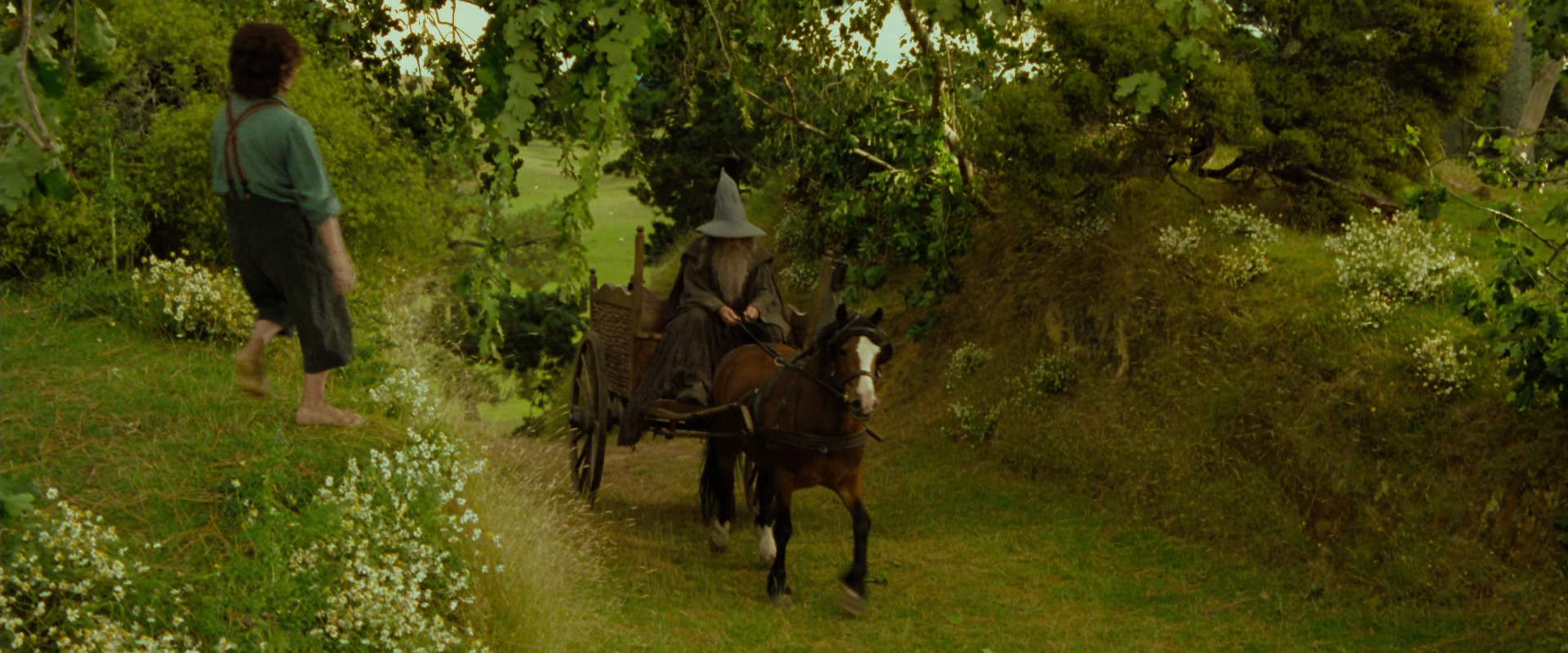 The Lord of the Rings: The Fellowship of the Ring (2001) movie still 1081