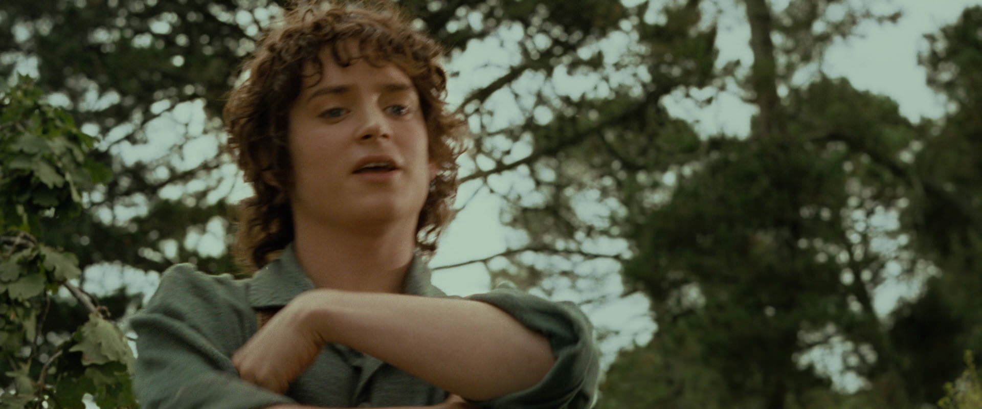 The Lord of the Rings: The Fellowship of the Ring (2001) HD screenshot 1082