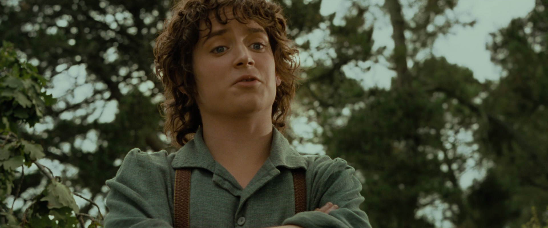 The Lord of the Rings: The Fellowship of the Ring (2001) screencap 1083