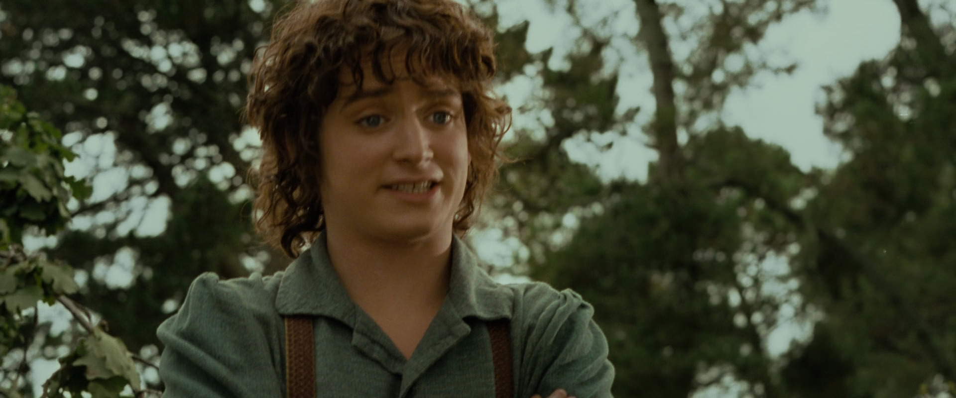The Lord of the Rings: The Fellowship of the Ring (2001) movie still 1084