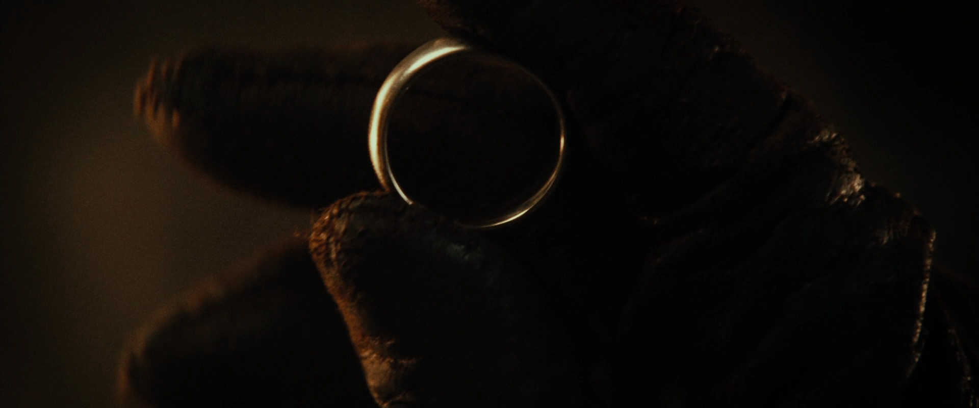 The Lord of the Rings: The Fellowship of the Ring (2001) screencap 10842
