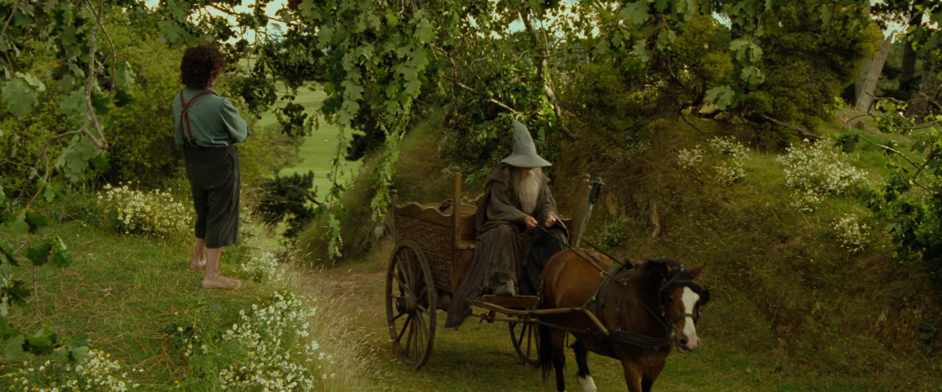 The Lord of the Rings: The Fellowship of the Ring (2001) HD screenshot 1085