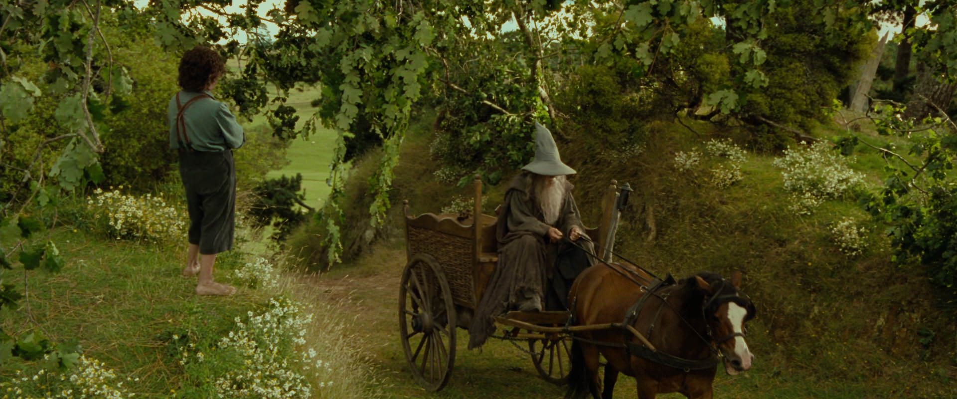 The Lord of the Rings: The Fellowship of the Ring (2001) screencap 1086