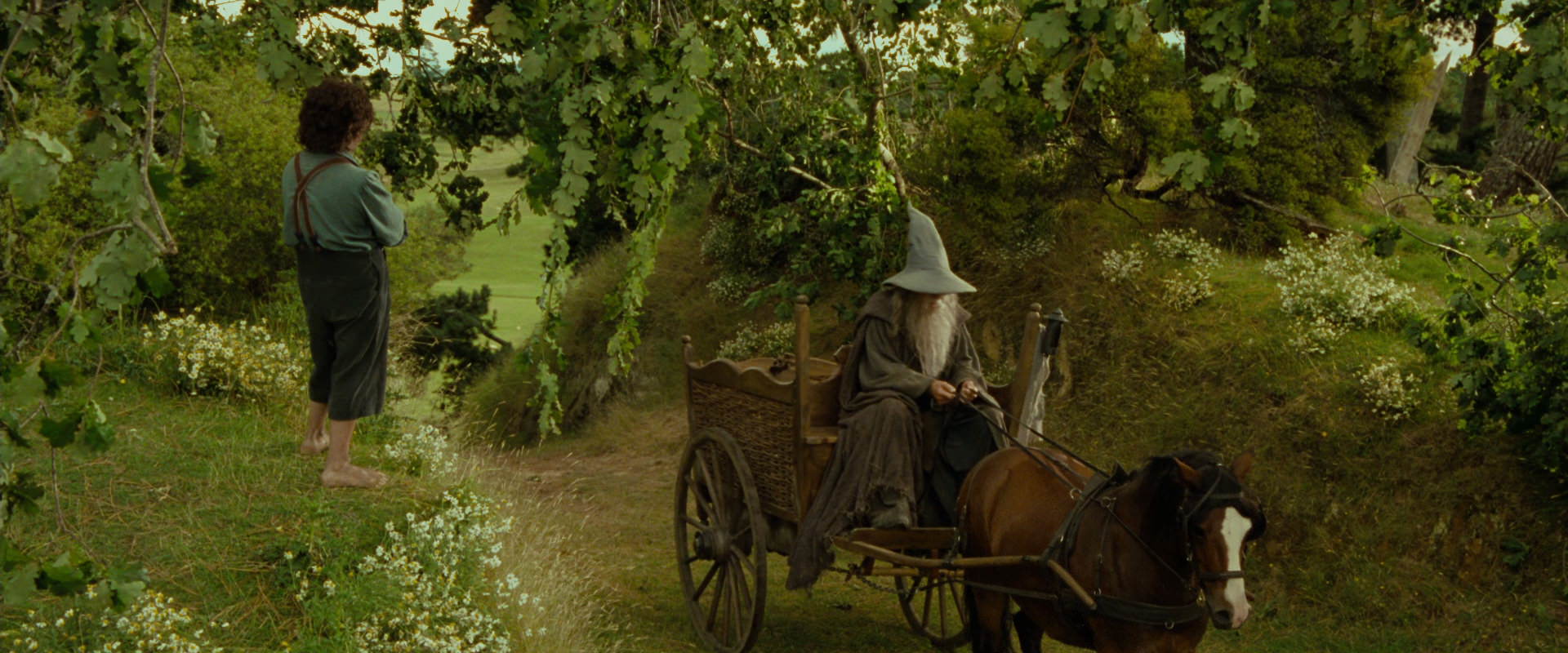 The Lord of the Rings: The Fellowship of the Ring (2001) movie still 1087