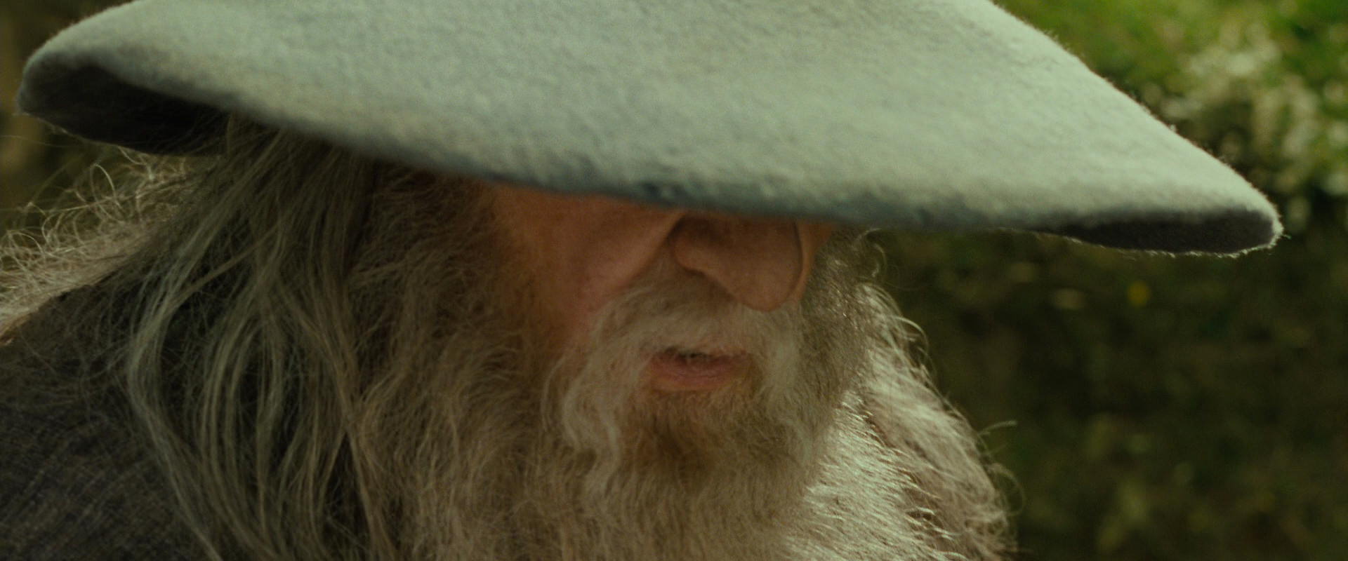 The Lord of the Rings: The Fellowship of the Ring (2001) HD screenshot 1094