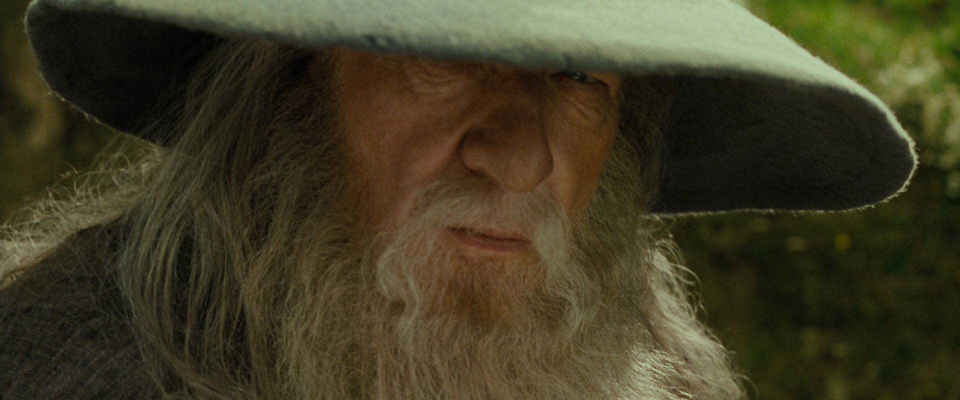 The Lord of the Rings: The Fellowship of the Ring (2001) screencap 1095