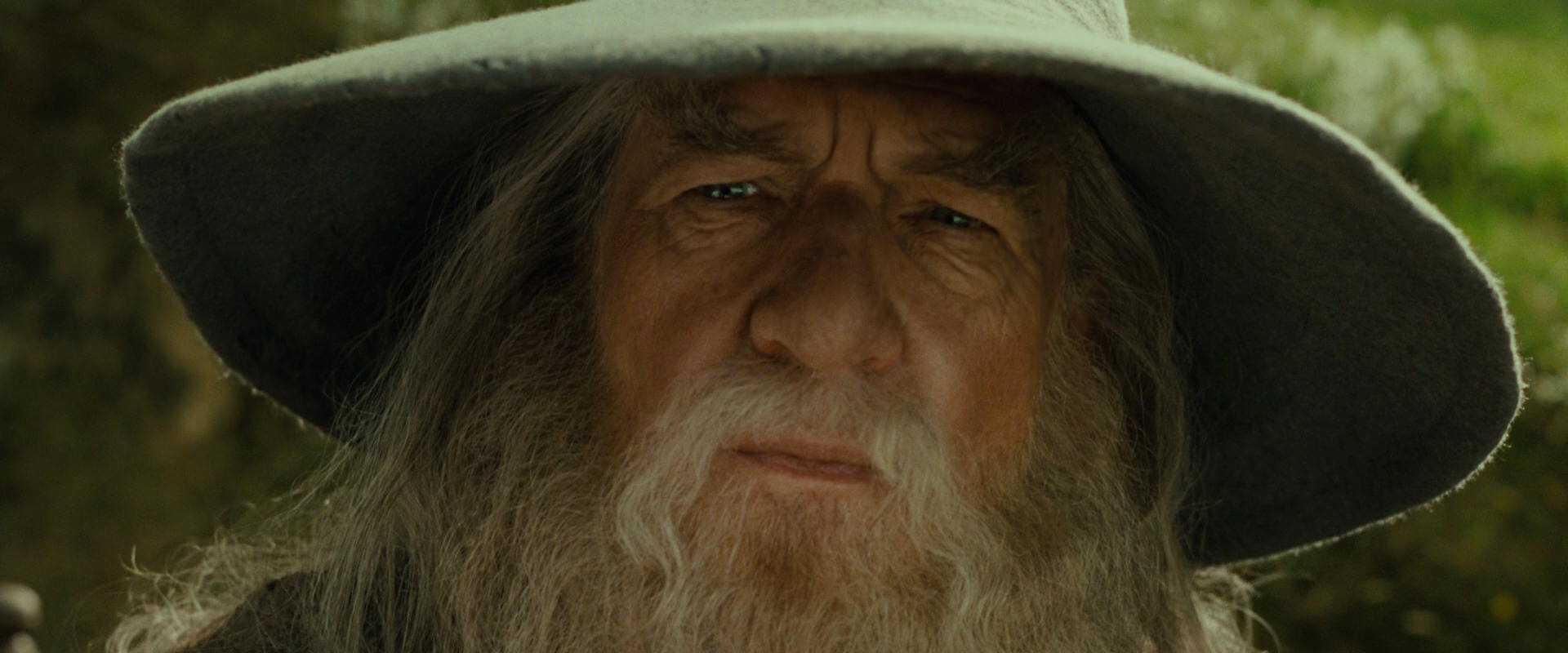 The Lord of the Rings: The Fellowship of the Ring (2001) screencap 1098