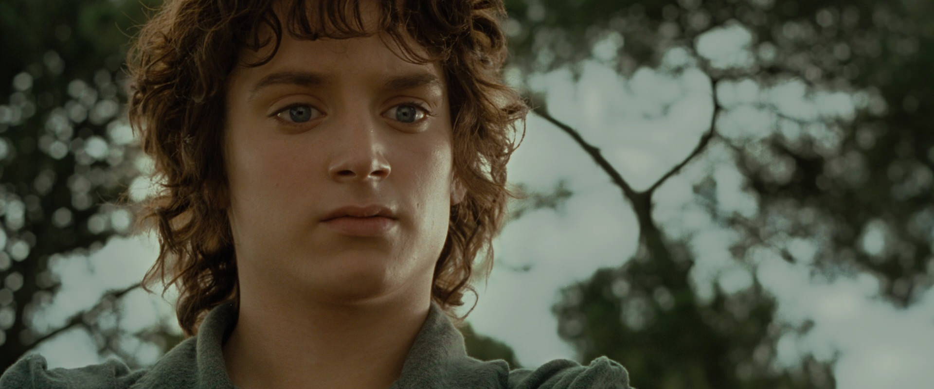 The Lord of the Rings: The Fellowship of the Ring (2001) HD screenshot 1100