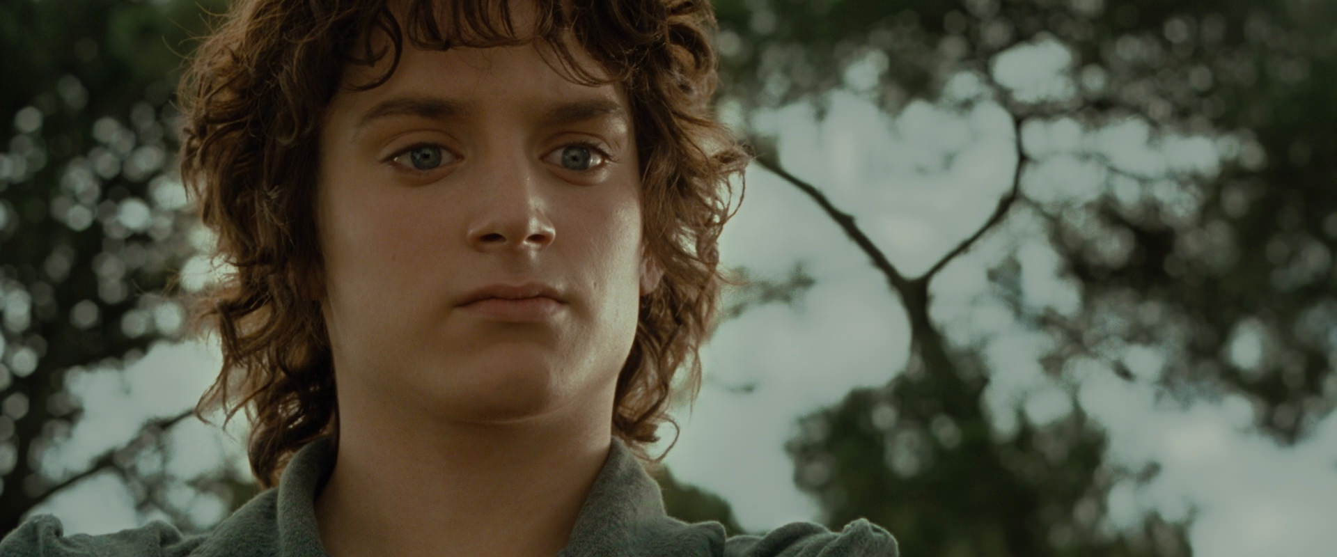 The Lord of the Rings: The Fellowship of the Ring (2001) screencap 1101