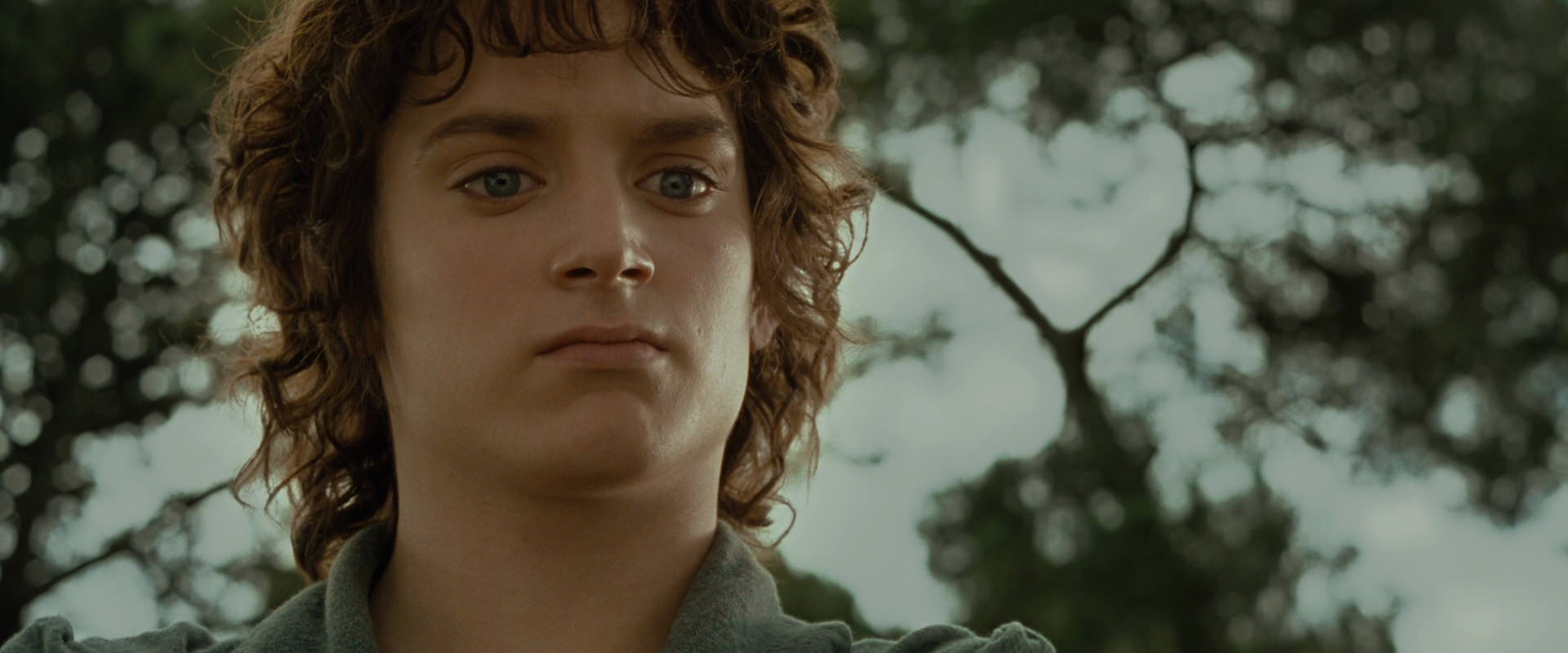 The Lord of the Rings: The Fellowship of the Ring (2001) movie still 1102