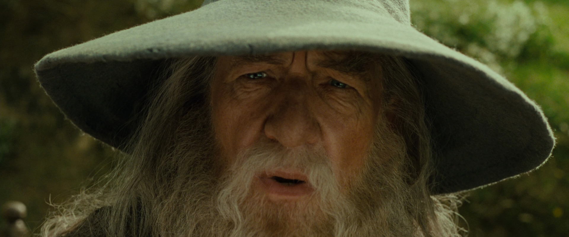 The Lord of the Rings: The Fellowship of the Ring (2001) screencap 1107