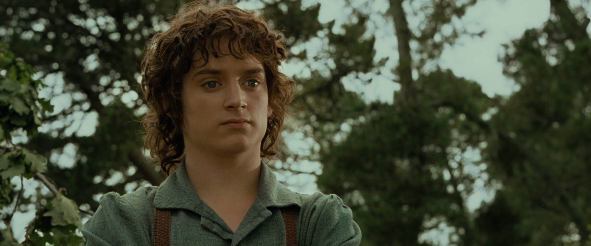 The Lord of the Rings: The Fellowship of the Ring (2001) screencap 1110
