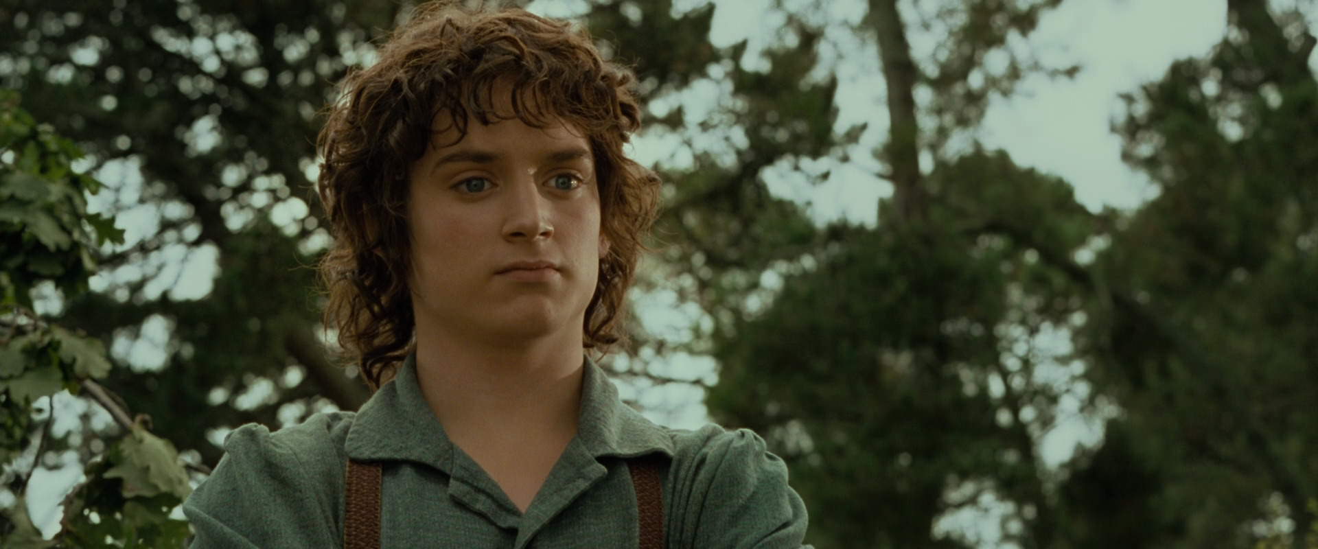 The Lord of the Rings: The Fellowship of the Ring (2001) screencap 1113