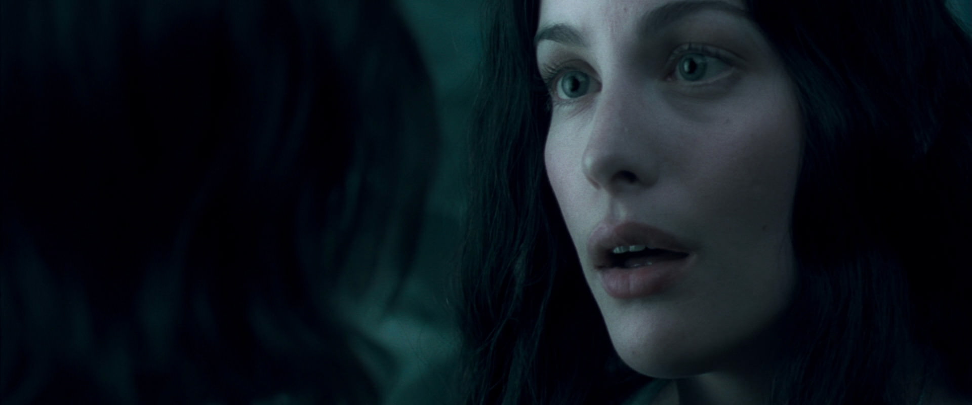 The Lord of the Rings: The Fellowship of the Ring (2001) screencap 11244