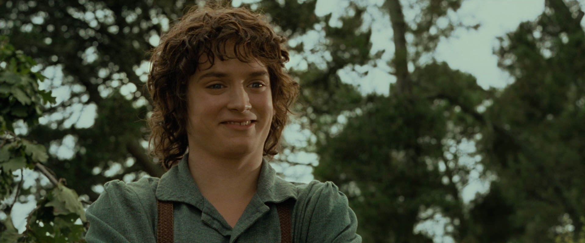 The Lord of the Rings: The Fellowship of the Ring (2001) movie still 1126
