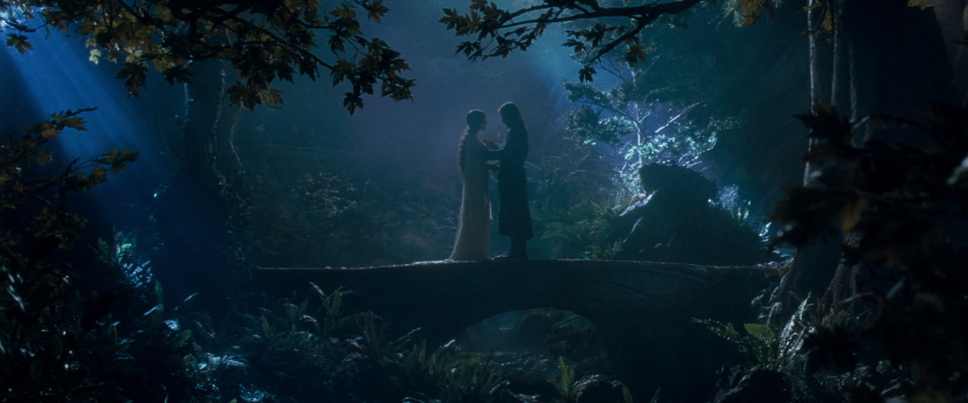 The Lord of the Rings: The Fellowship of the Ring (2001) movie still 11269