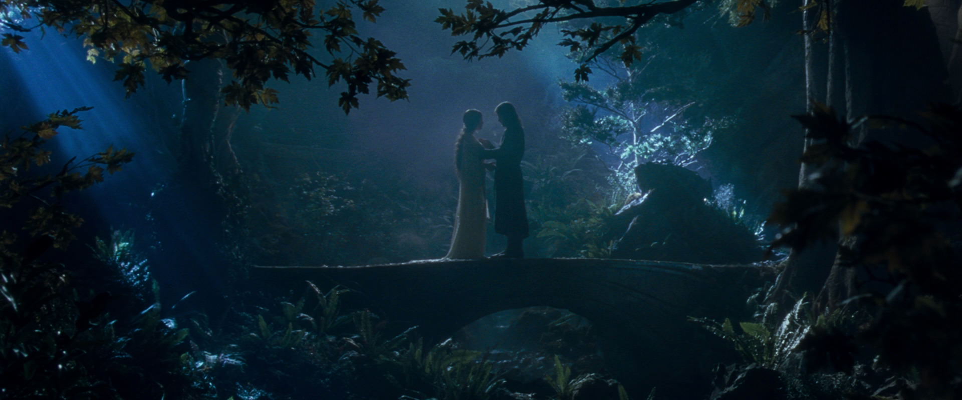 The Lord of the Rings: The Fellowship of the Ring (2001) HD screenshot 11270