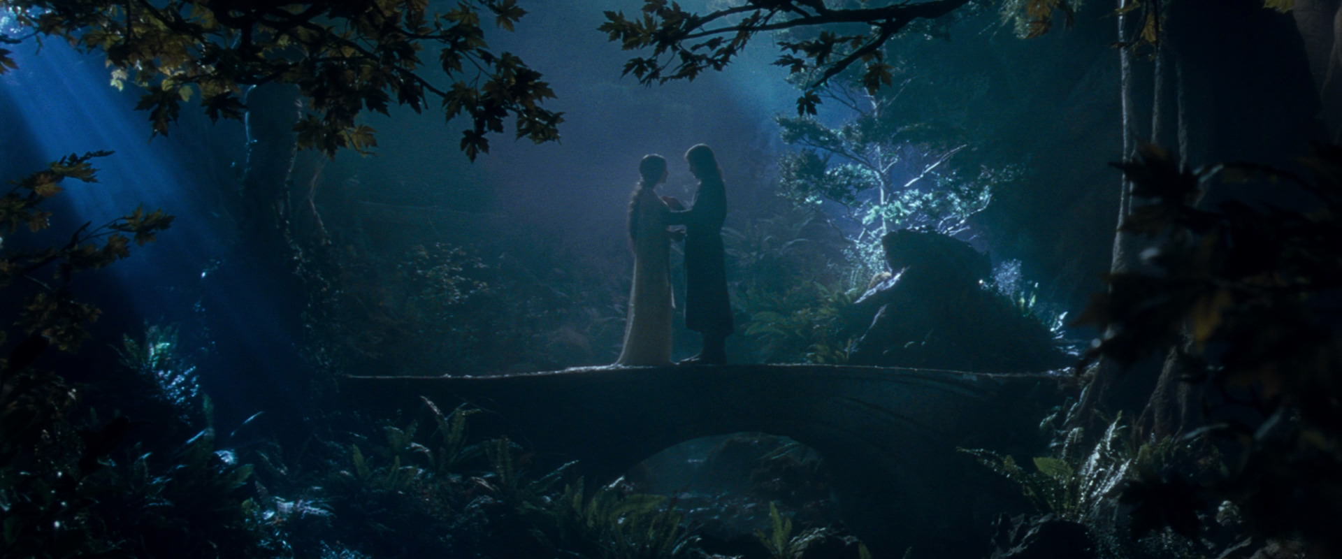 The Lord of the Rings: The Fellowship of the Ring (2001) movie still 11272