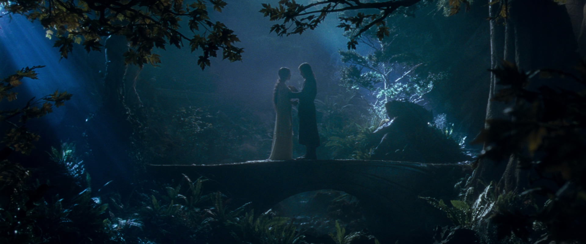 The Lord of the Rings: The Fellowship of the Ring (2001) HD screenshot 11273