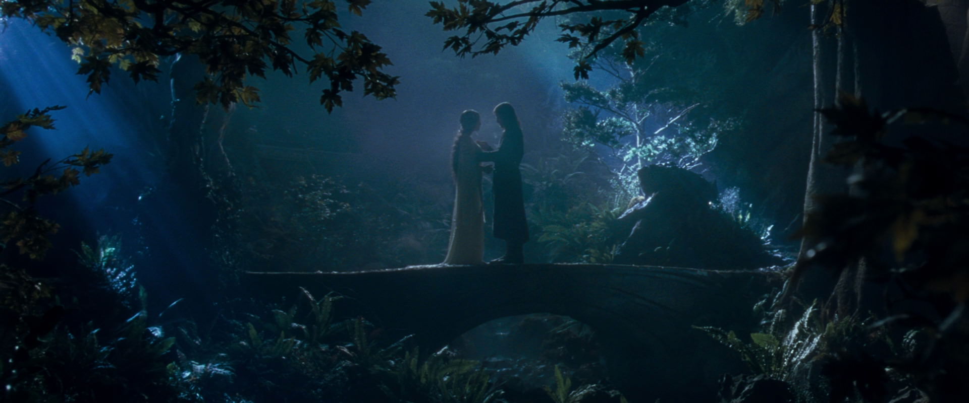 The Lord of the Rings: The Fellowship of the Ring (2001) screencap 11274