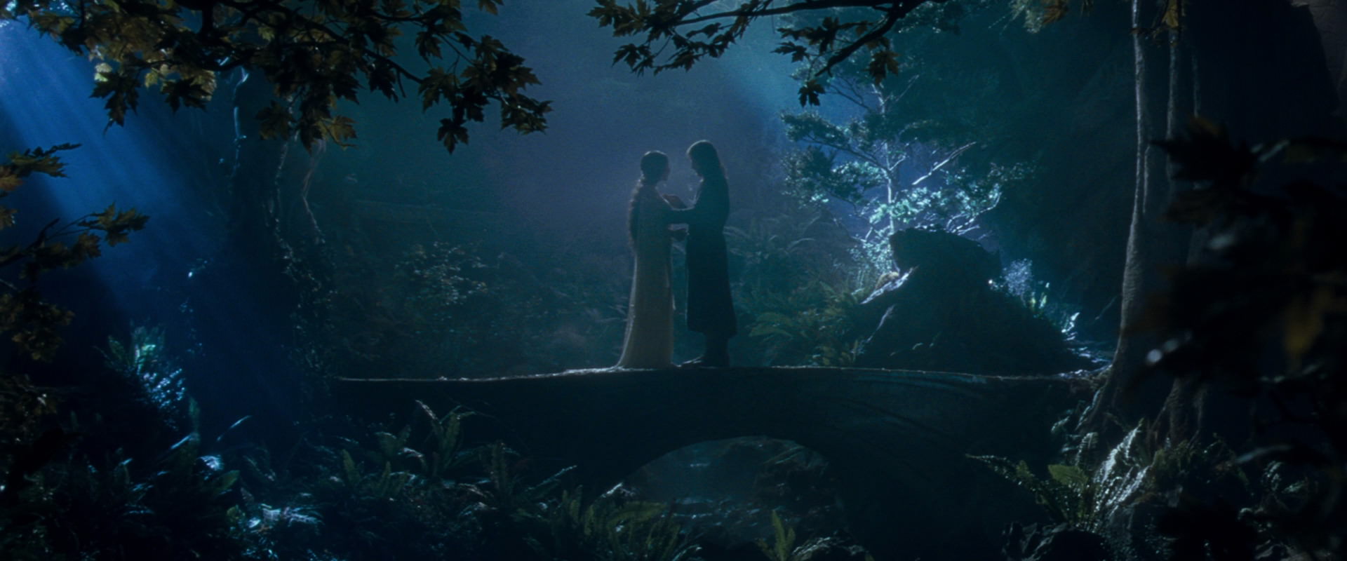 The Lord of the Rings: The Fellowship of the Ring (2001) movie still 11275