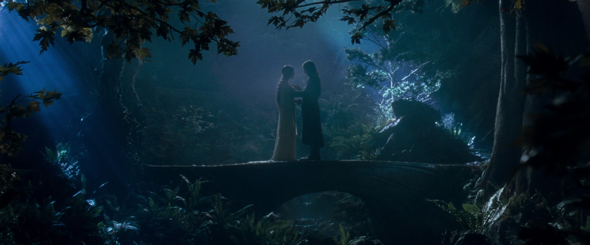 The Lord of the Rings: The Fellowship of the Ring (2001) HD screenshot 11276