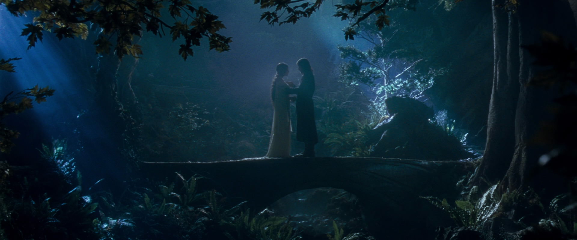 The Lord of the Rings: The Fellowship of the Ring (2001) screencap 11277
