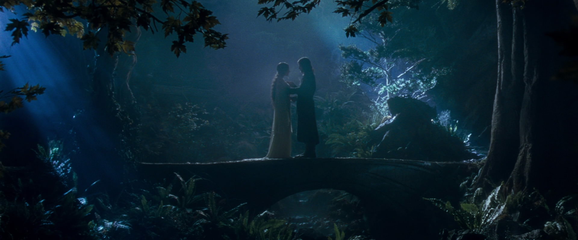 The Lord of the Rings: The Fellowship of the Ring (2001) movie still 11278