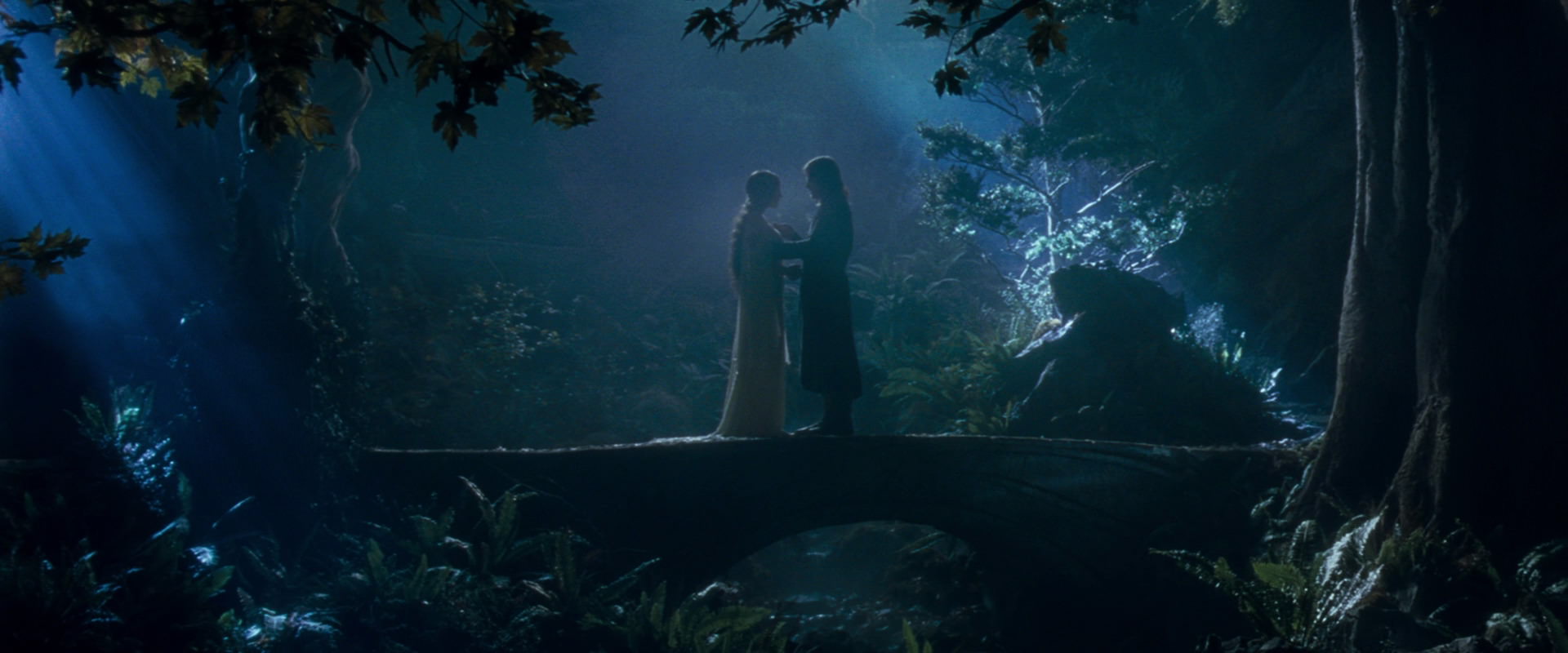 The Lord of the Rings: The Fellowship of the Ring (2001) HD screenshot 11279
