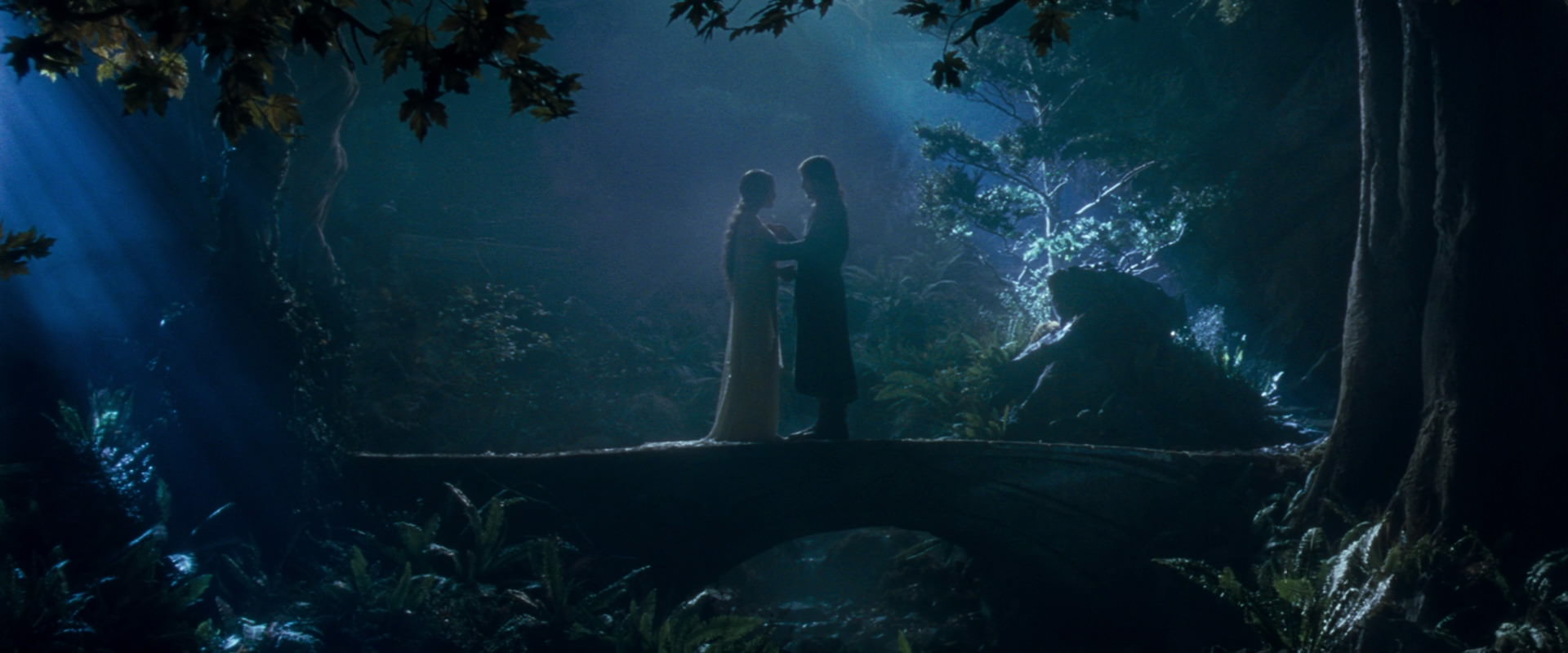 The Lord of the Rings: The Fellowship of the Ring (2001) screencap 11280