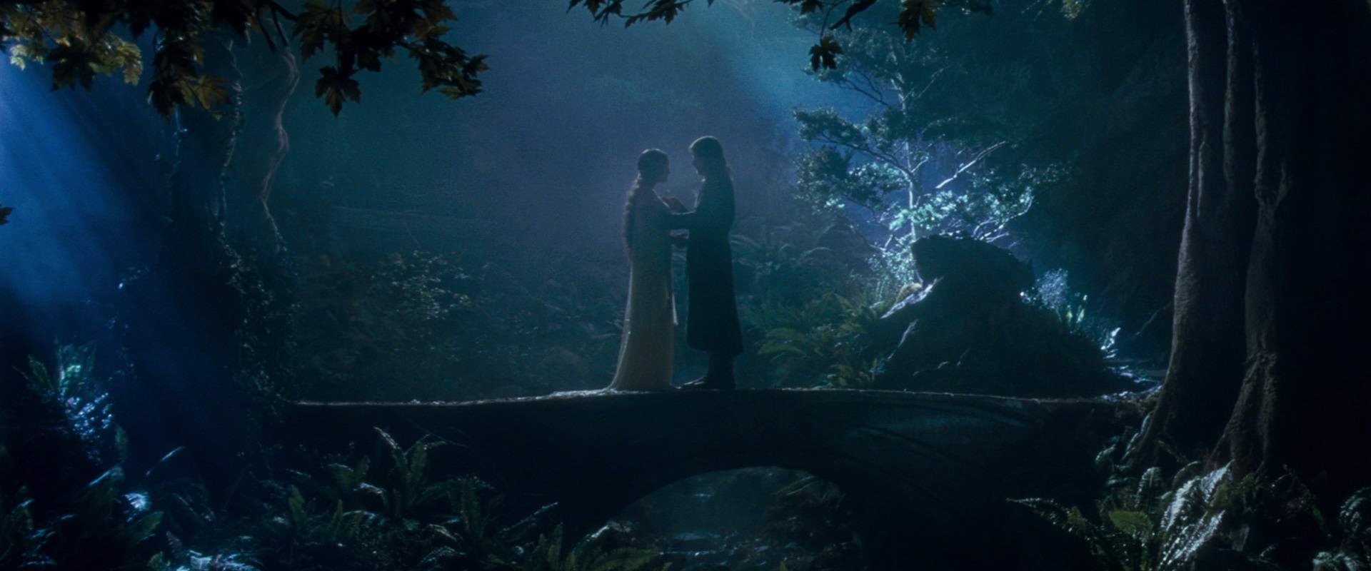 The Lord of the Rings: The Fellowship of the Ring (2001) movie still 11281