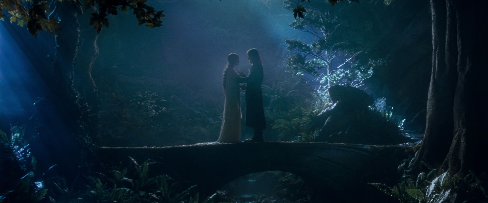 The Lord of the Rings: The Fellowship of the Ring (2001) screencap 11283