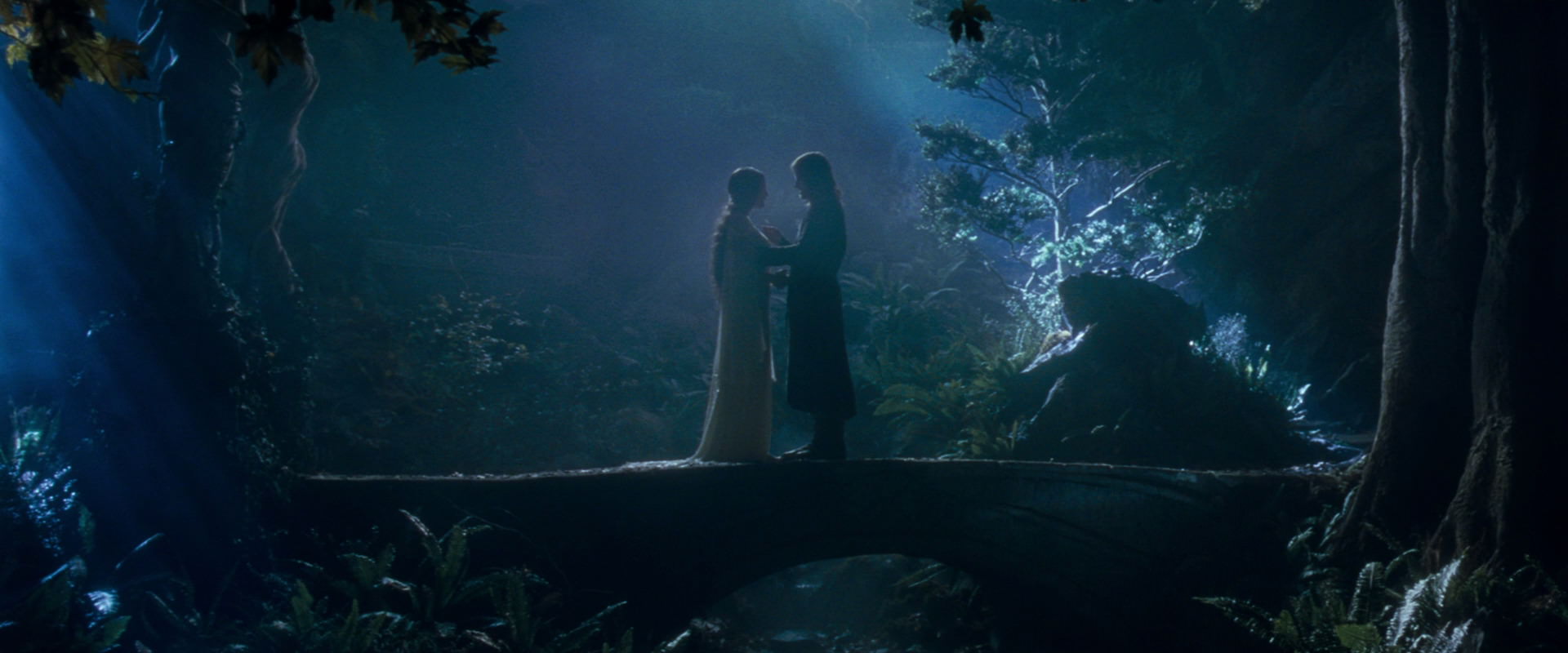 The Lord of the Rings: The Fellowship of the Ring (2001) movie still 11284