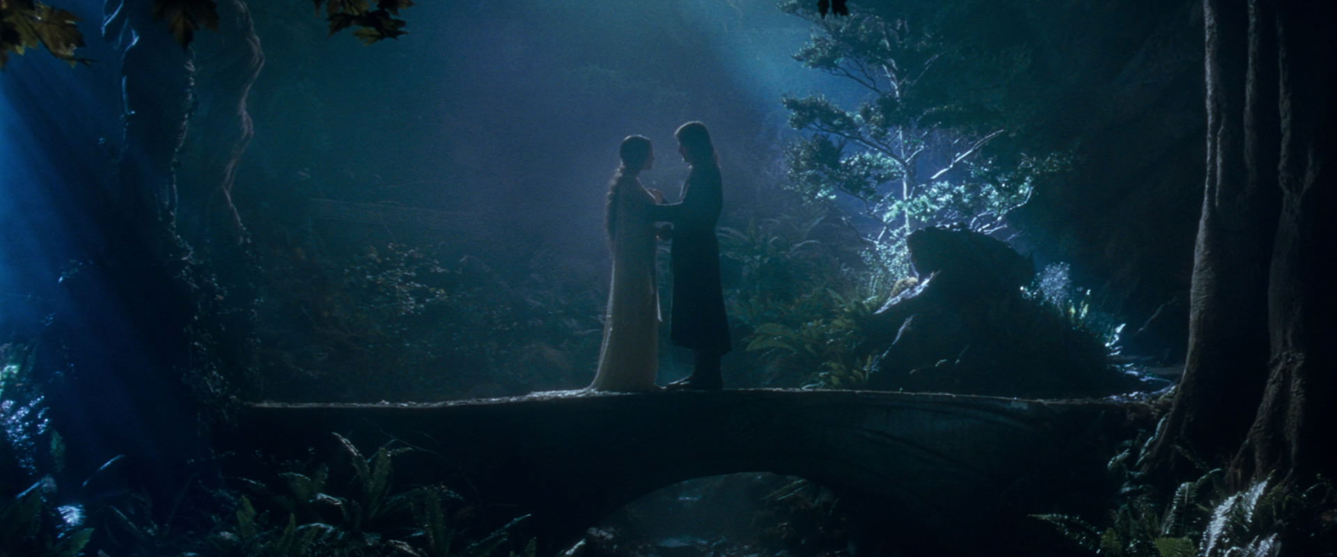 The Lord of the Rings: The Fellowship of the Ring (2001) HD screenshot 11285