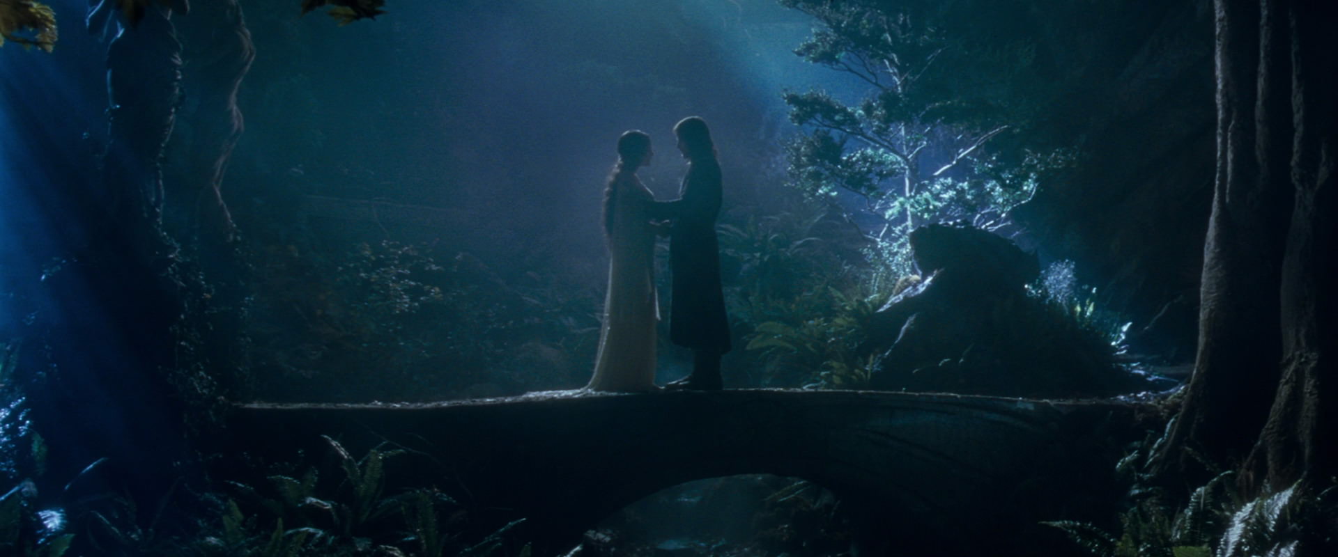 The Lord of the Rings: The Fellowship of the Ring (2001) screencap 11286