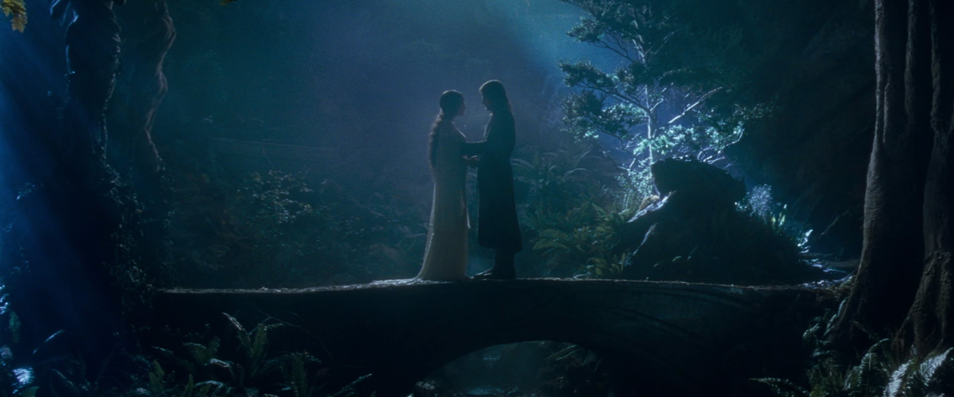 The Lord of the Rings: The Fellowship of the Ring (2001) movie still 11287