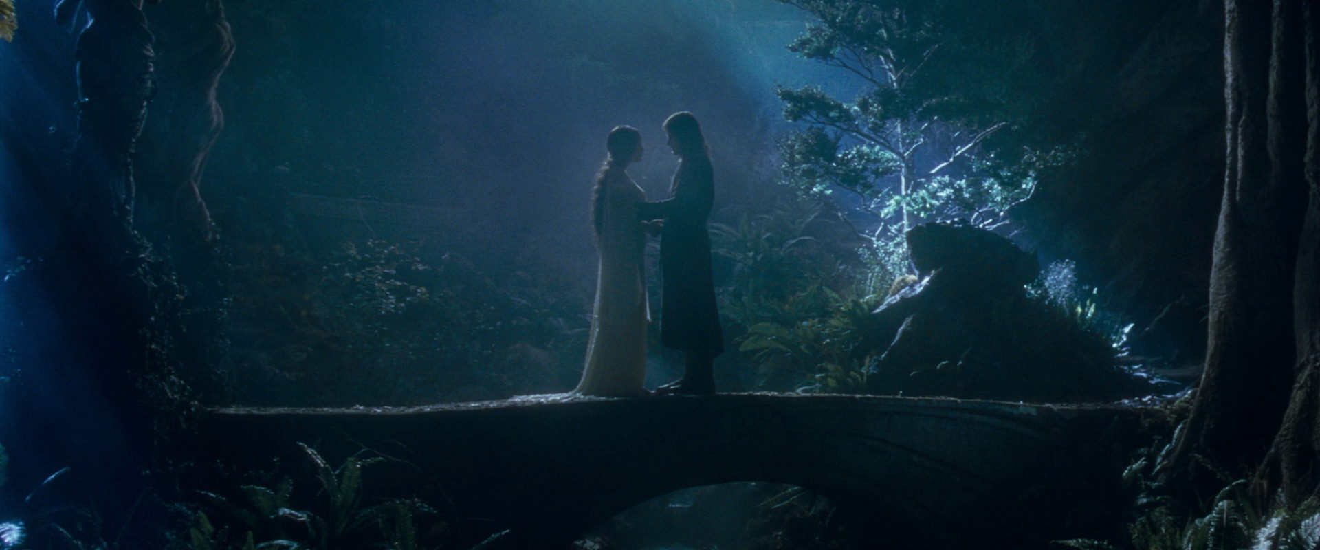 The Lord of the Rings: The Fellowship of the Ring (2001) HD screenshot 11288